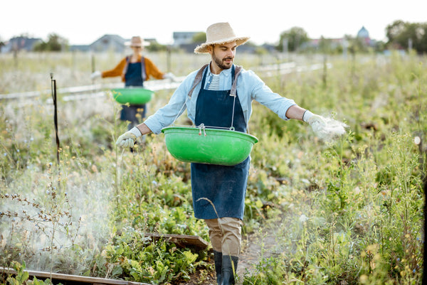Outdoorpflanzen düngen: Dosierung, Saisonkalender, Fehler vermeiden