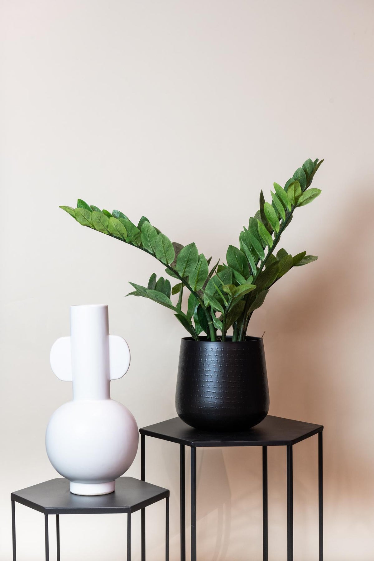Kunstpflanze - Zamioculcas - Zimmerpalme