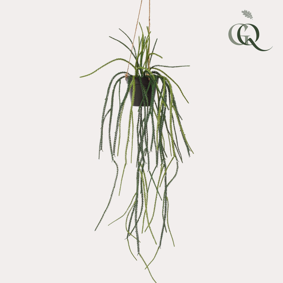 Kunstpflanze - Rhipsalis - Korallenkaktus