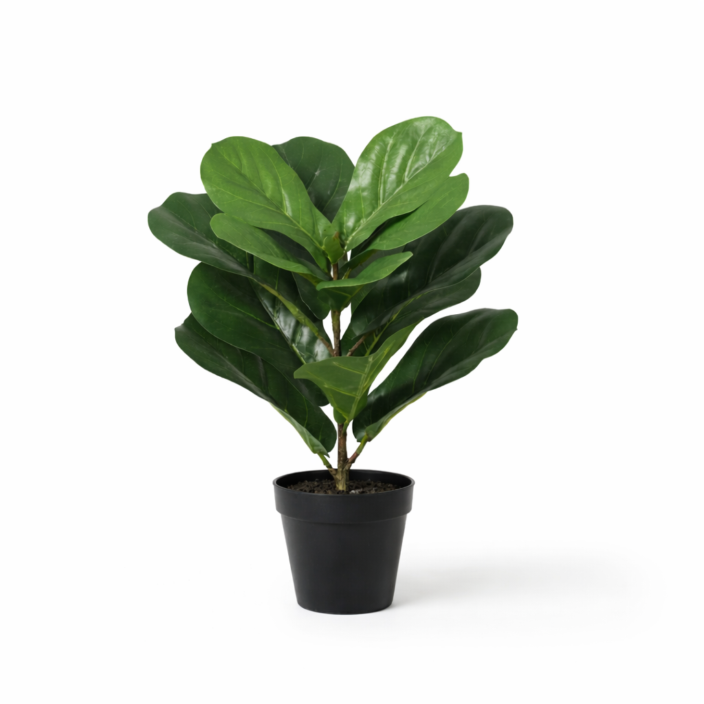 ARTIFICIAL Ficus lyrata