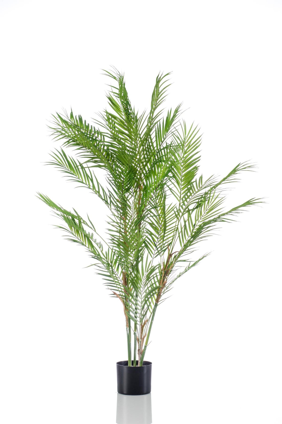 Kunstpflanze - Chamaedorea Elegans - Bergpalme