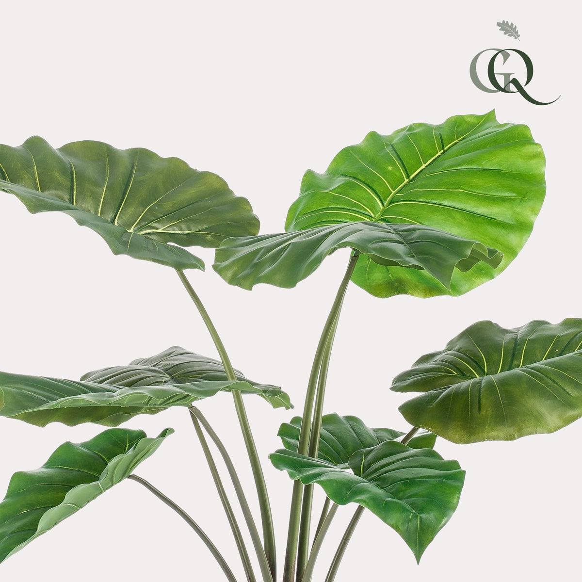 Kunstpflanze - Alocasia