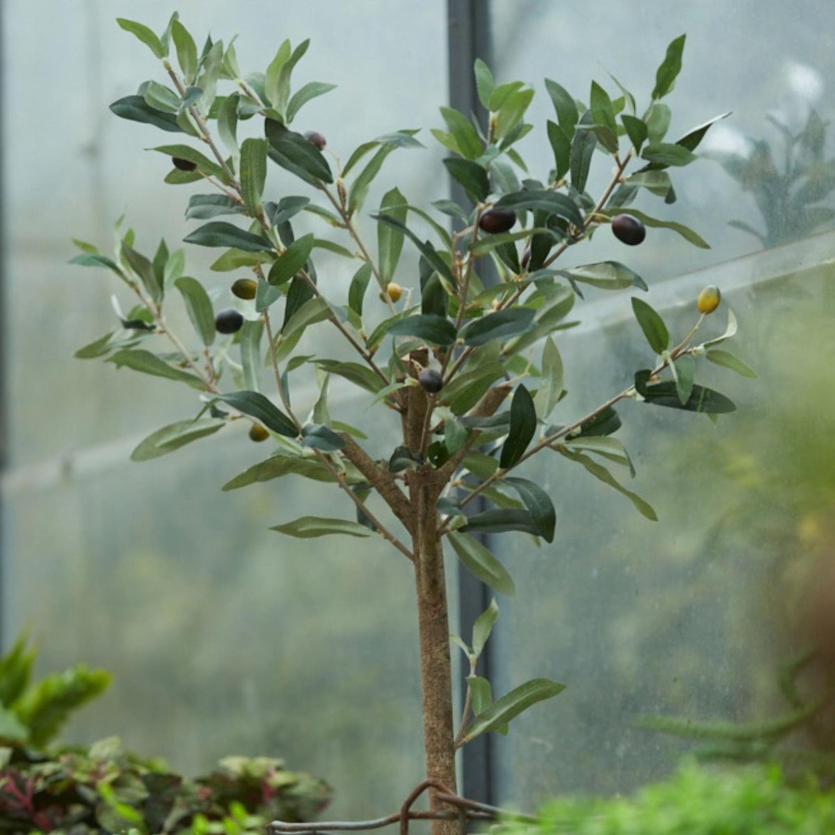 Olijfboom in pot 65cm - Kunstplant - Artificial plant
