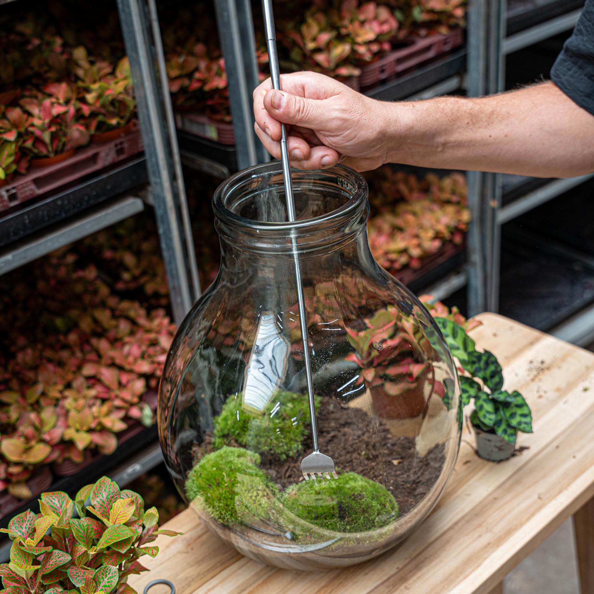 Terrarium-Werkzeug: Teleskop-Harke aus Edelstahl - 16–49 cm