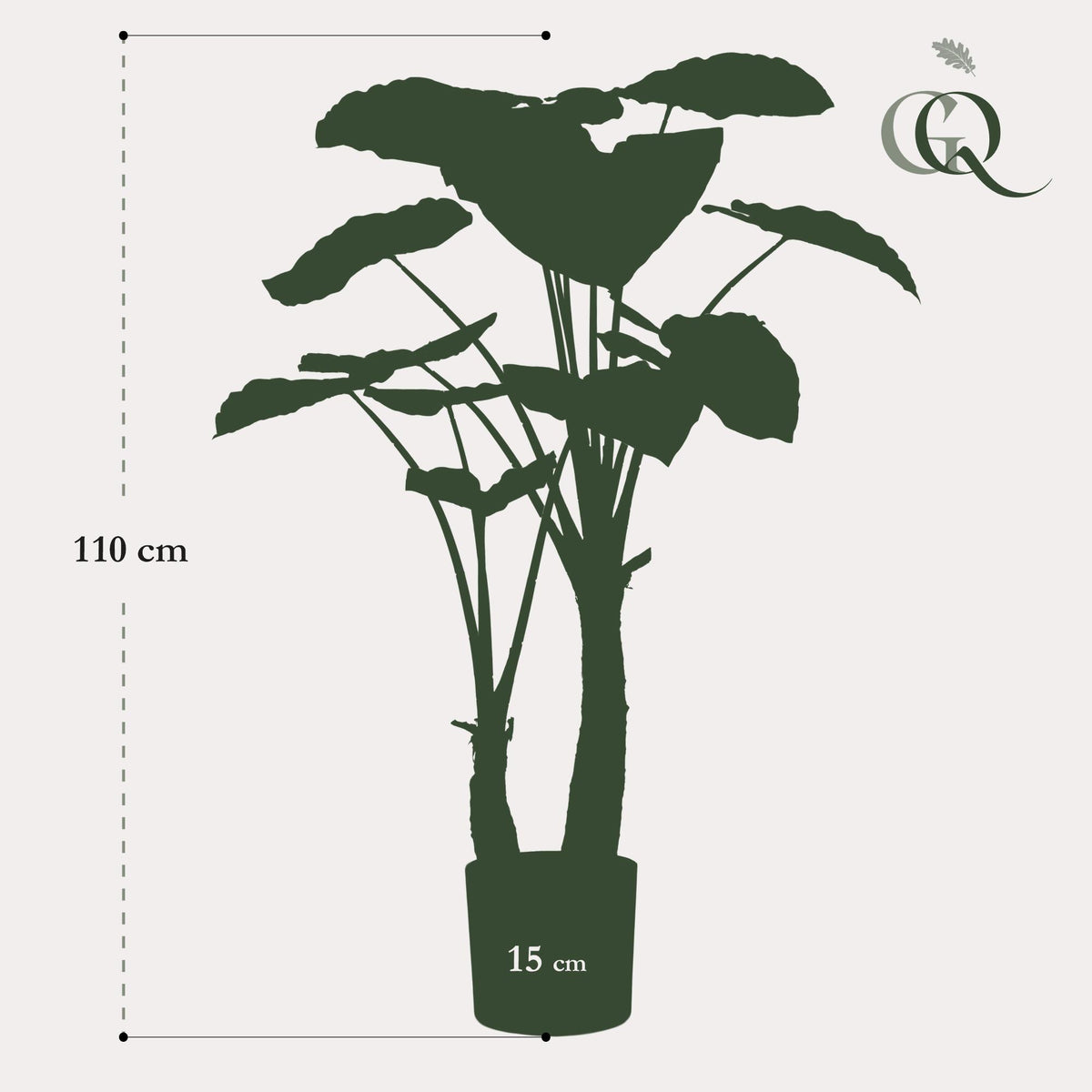 kunstplant - Alocasia - Olifantsoor