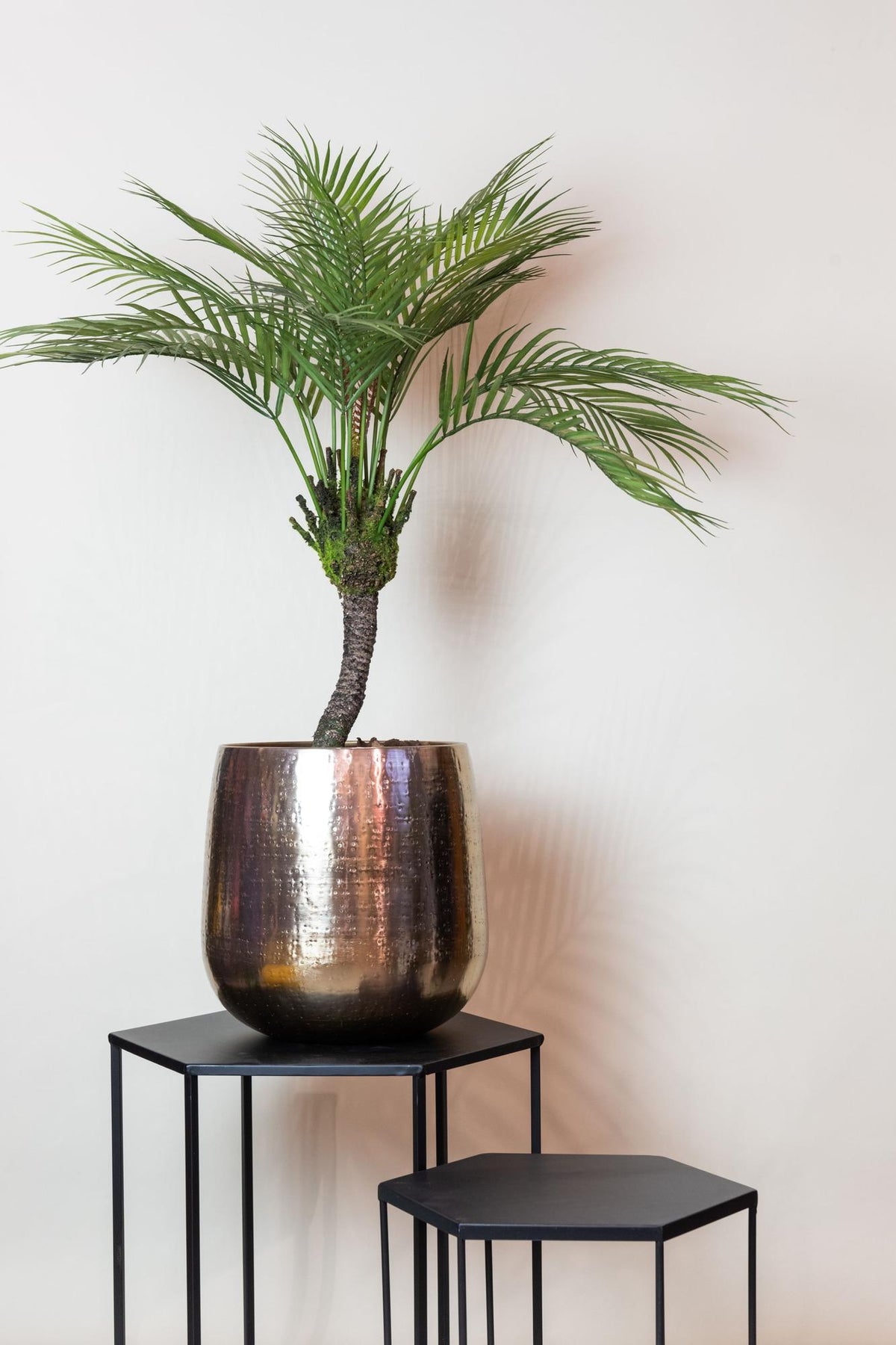 Kunstpflanze - Chamaedorea Elegans- Bergpalme