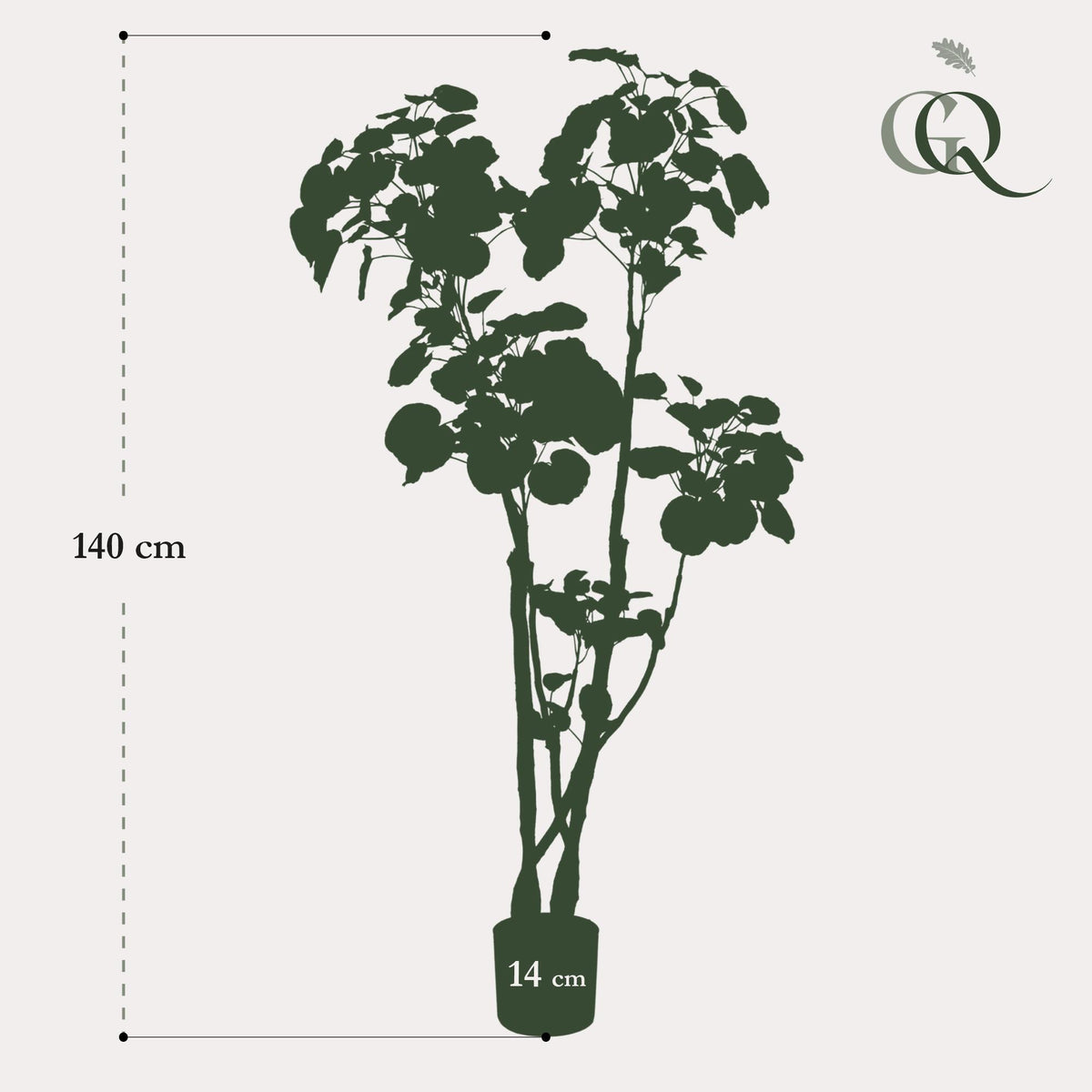 Kunstpflanze - Polyscias - Aralia