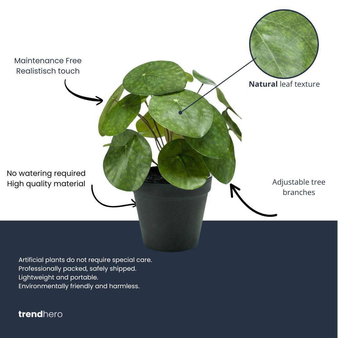 Pilea Bush 25 cm in Black Pot - Artificial Plant