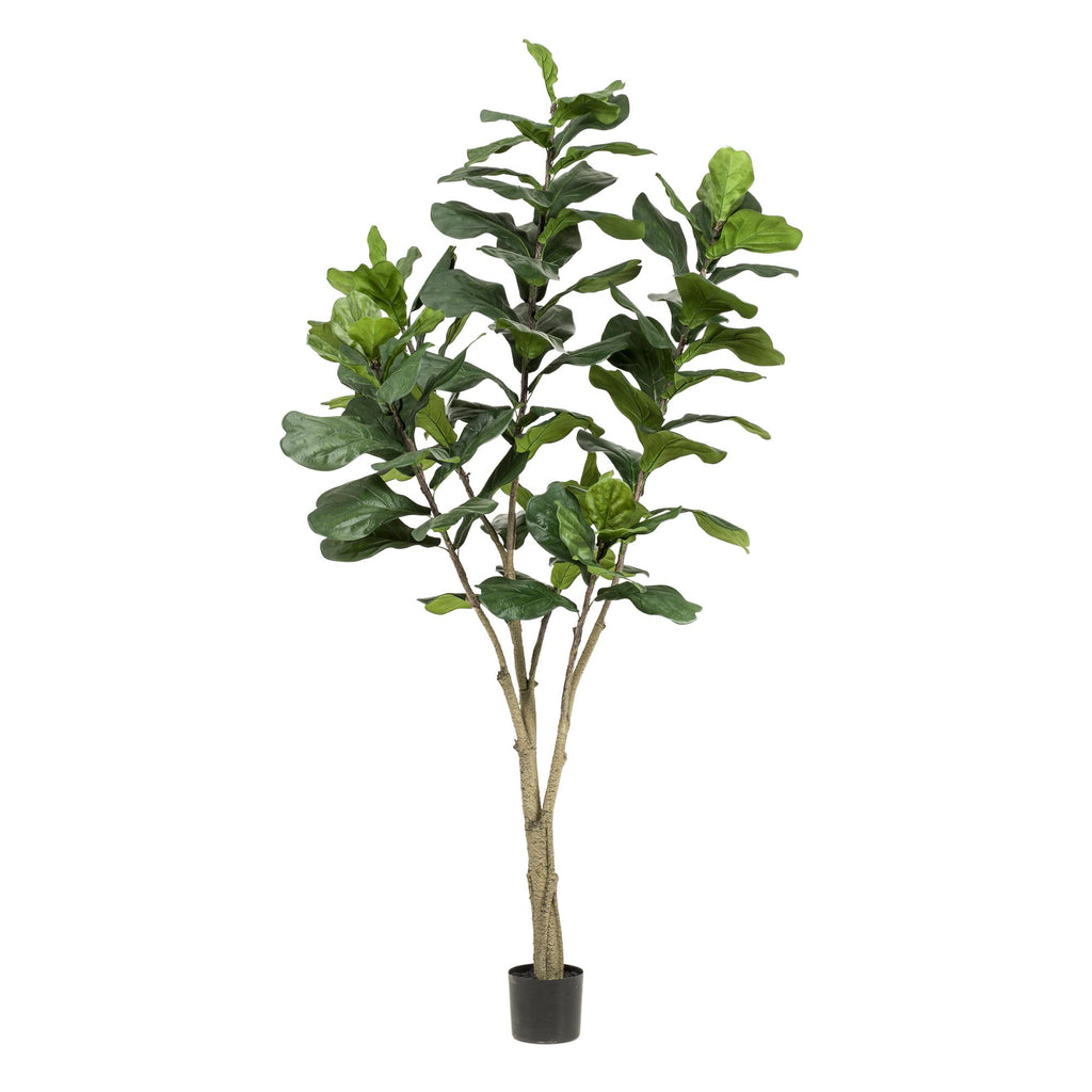 Kunstplant - Ficus Lyrata - Tabaksplant - 210cm