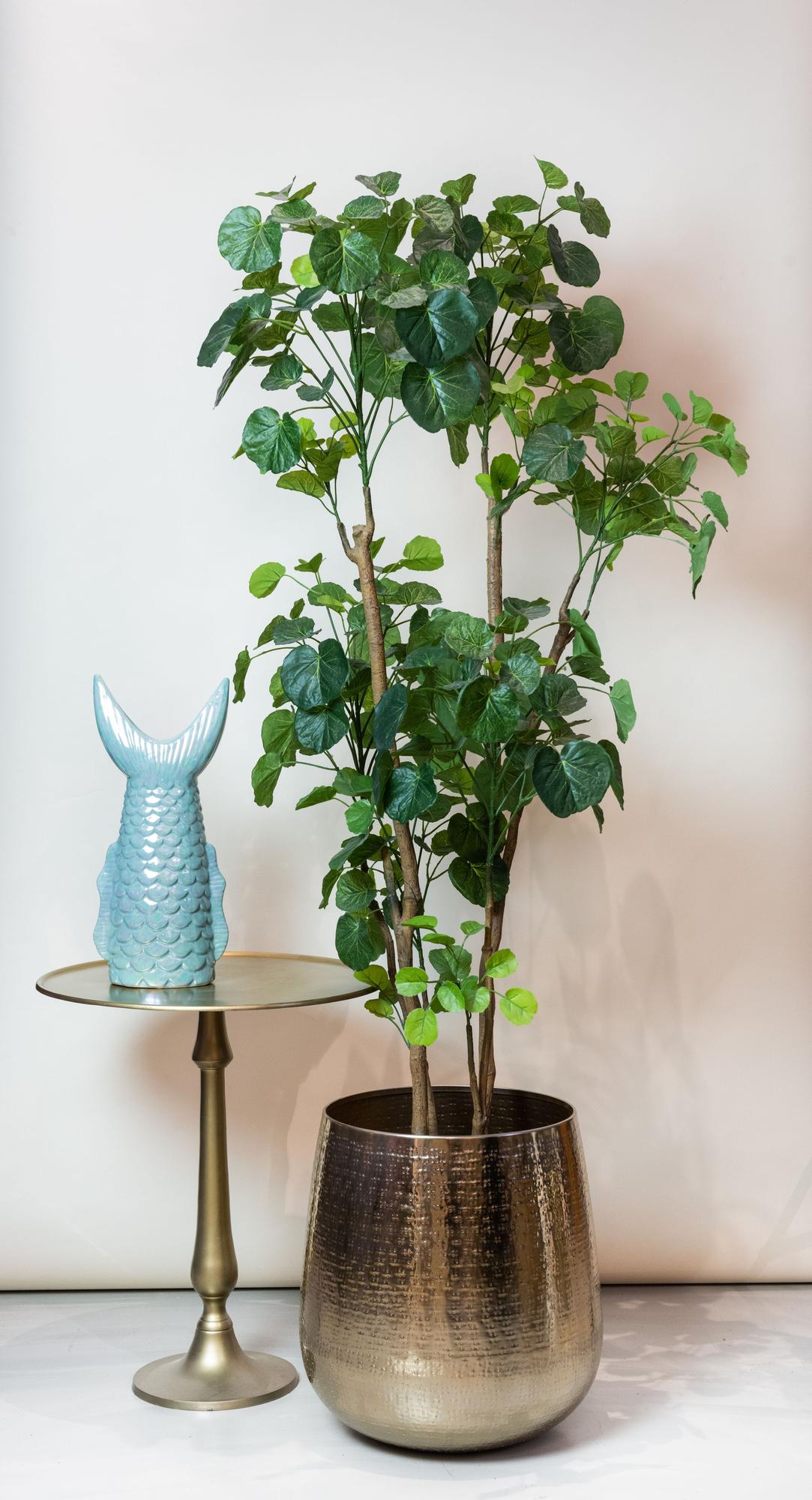 Kunstpflanze - Polyscias - Aralia