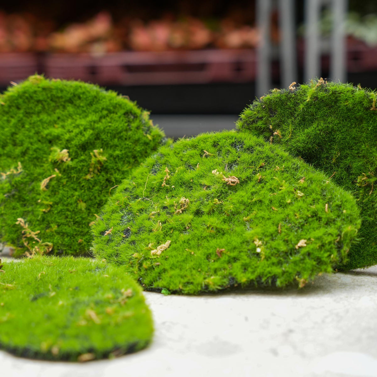 Mosplaat - Groen mos - Set van 4 - Kunstmos - ARTIFICIAL