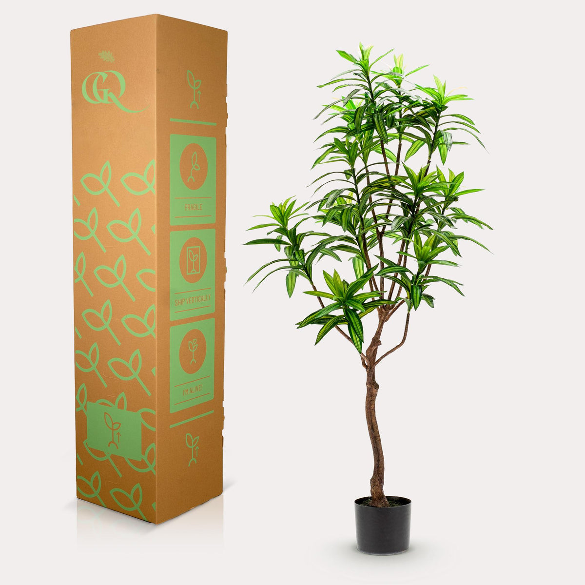 Kunstpflanze - Dracaena - Drachenbaum