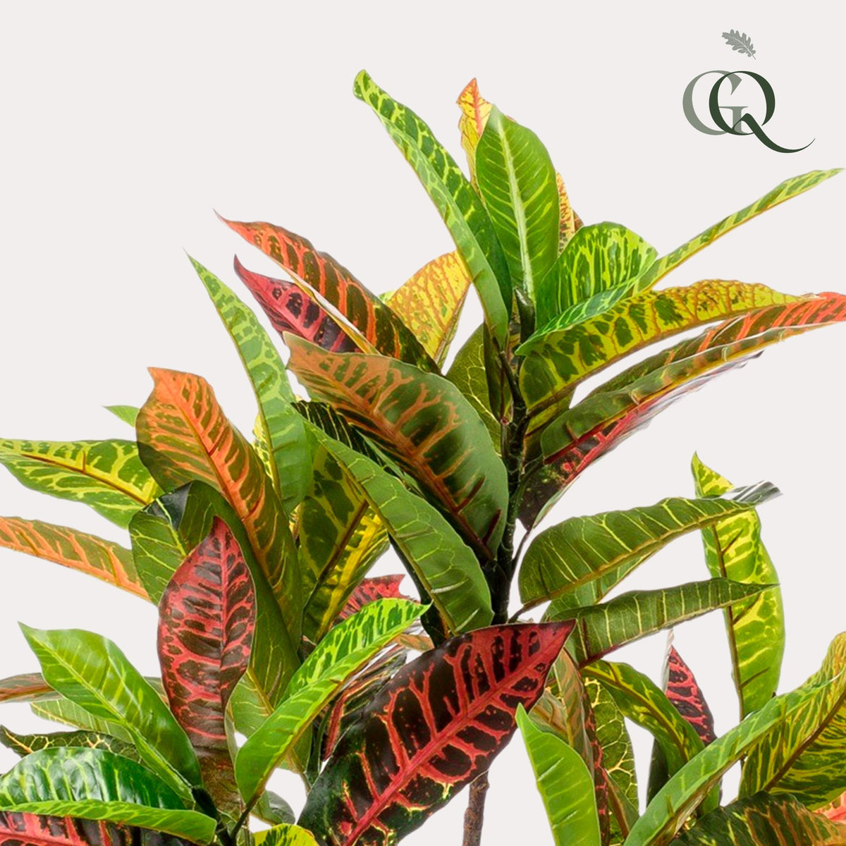 Kunstpflanze - Croton Codiaeum - Wunderstrauch