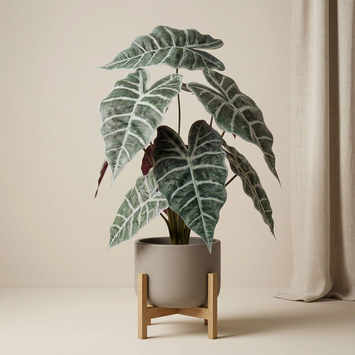 Alocasia Busch im Topf 40 cm - Kunstpflanze