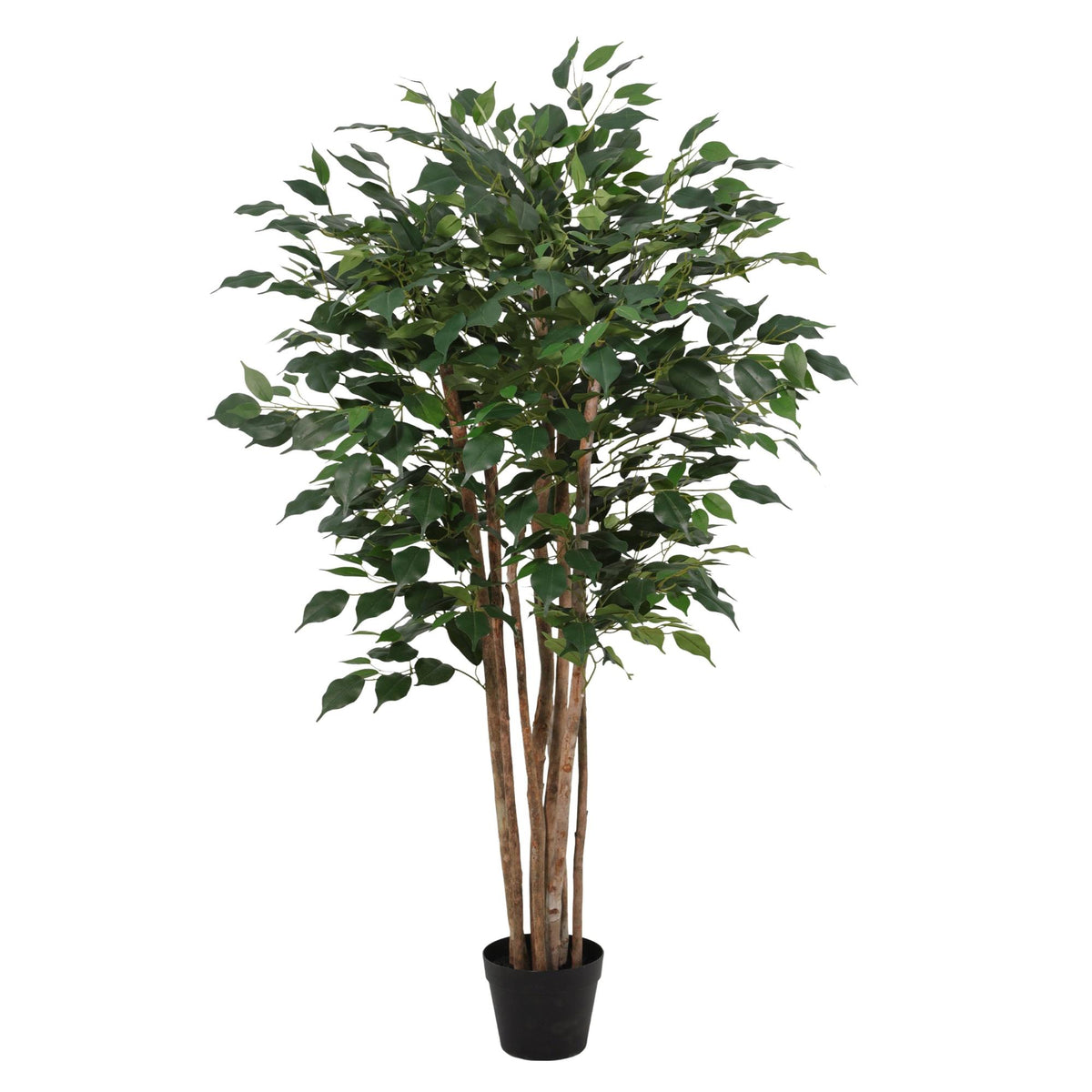 ARTIFICIAL Ficus Benjamina