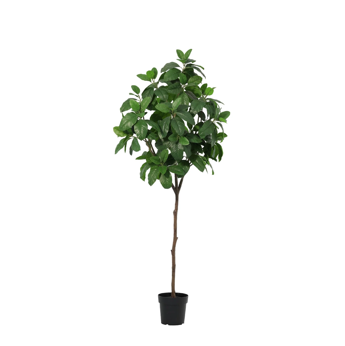 ARTIFICIAL Magnolia