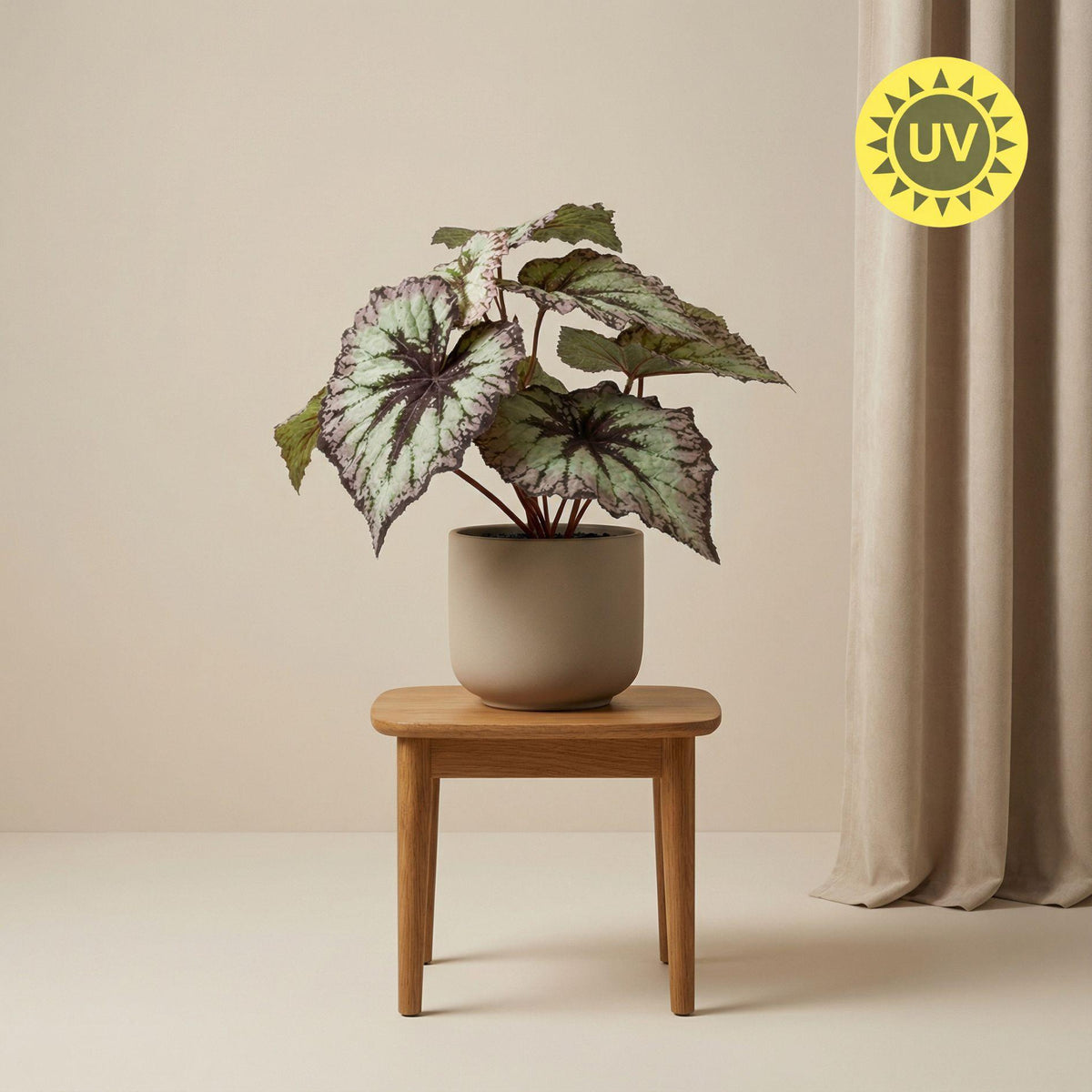Begonia 26 cm - Kunstplant in pot - UV - Artificial plant