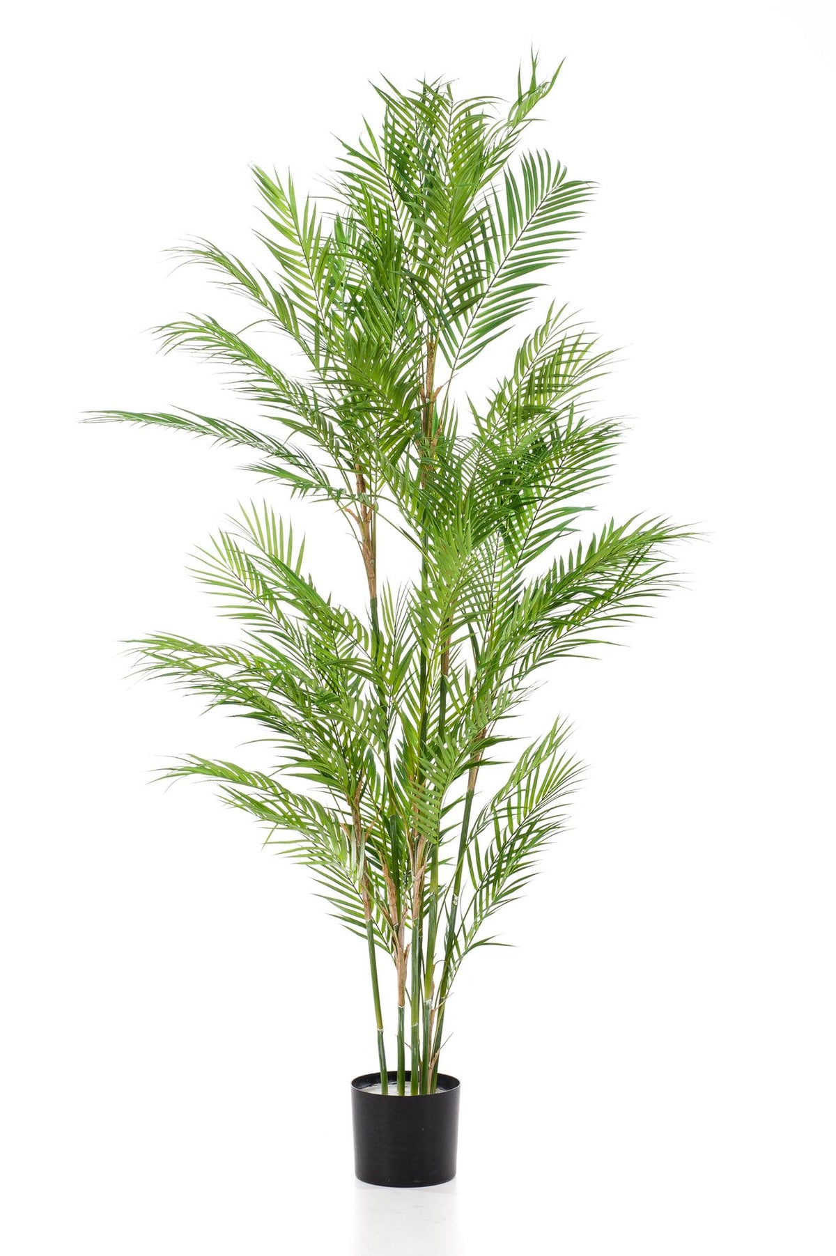 Kunstpflanze - Chamaedorea Elegans - Bergpalme