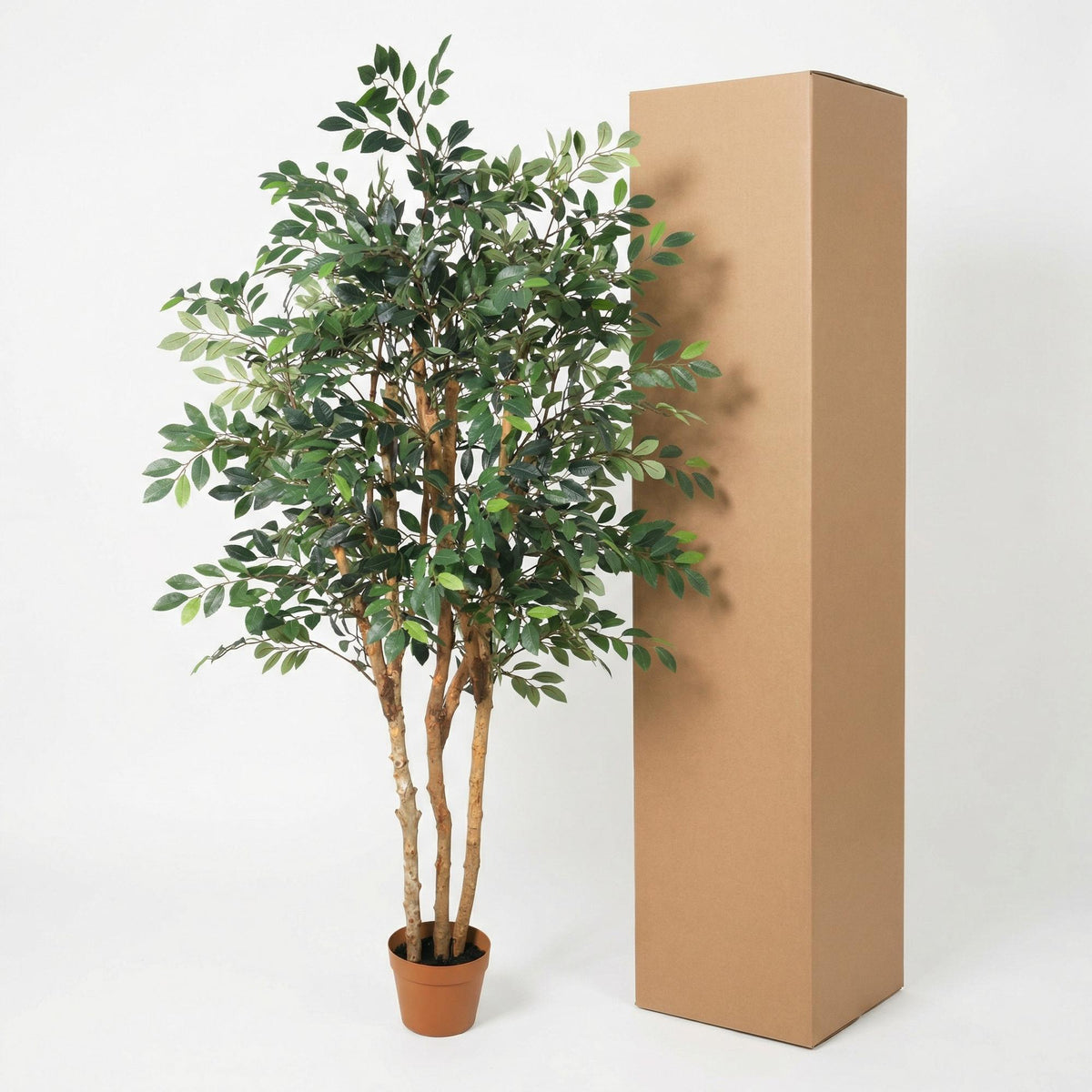 ARTIFICIAL Ficus Exotica