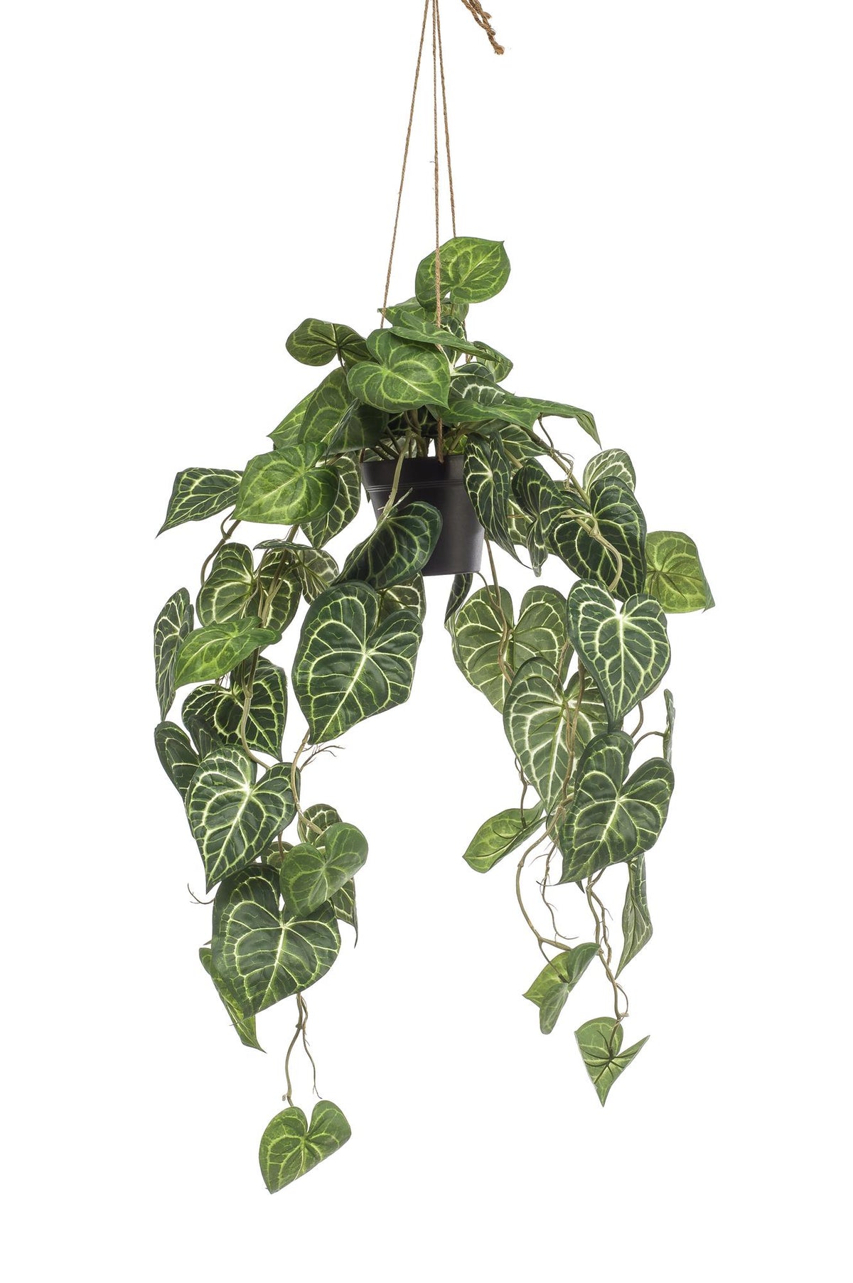 Kunstpflanze - Anthurium Clarinervium