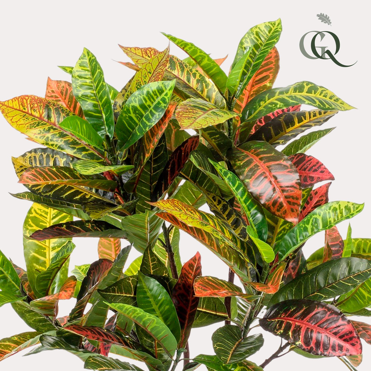 Kunstpflanze - Croton Codiaeum - Wunderstrauch