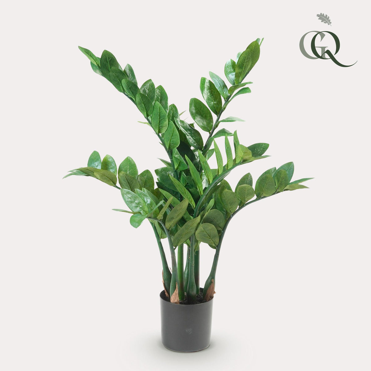 Kunstpflanze - Zamioculcas - Zimmerpalme