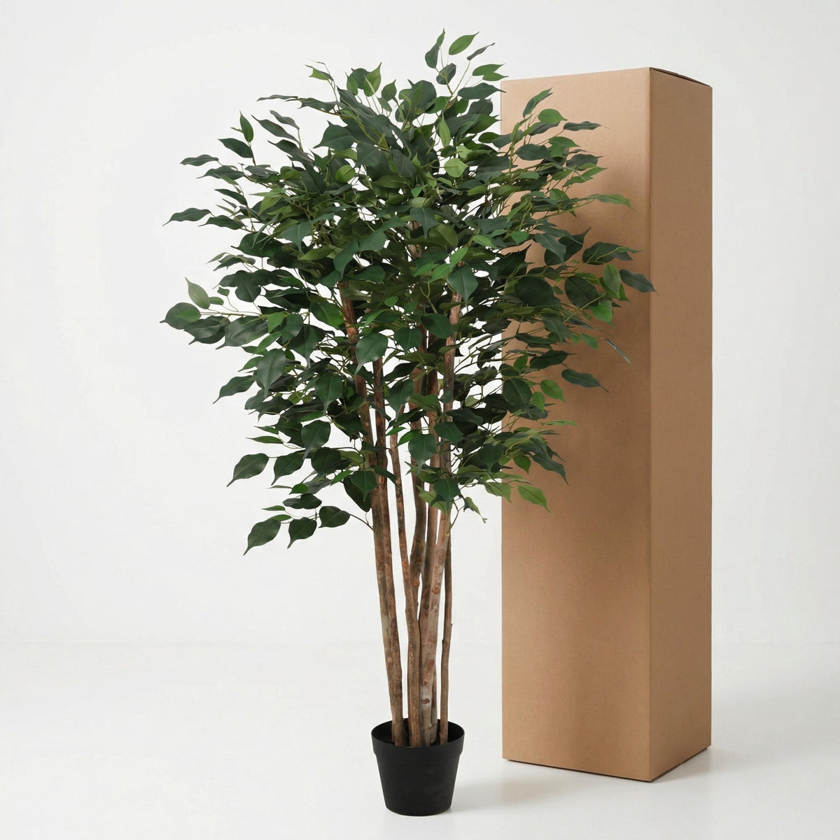 ARTIFICIAL Ficus Benjamina