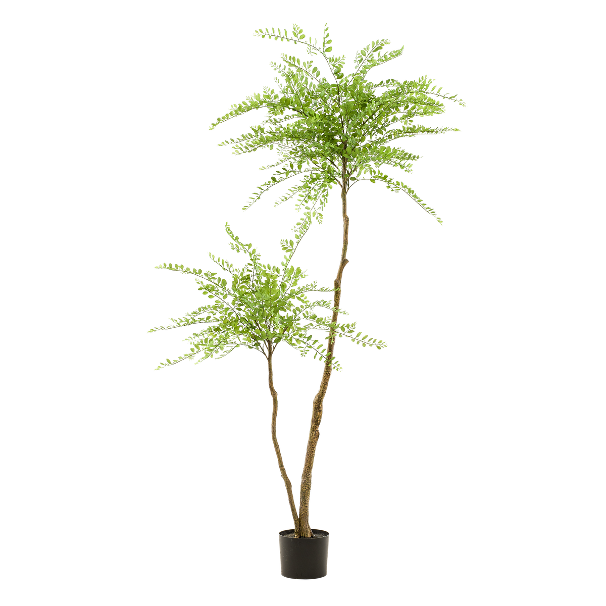 kunstplant - Sophora tree  - Honingboom