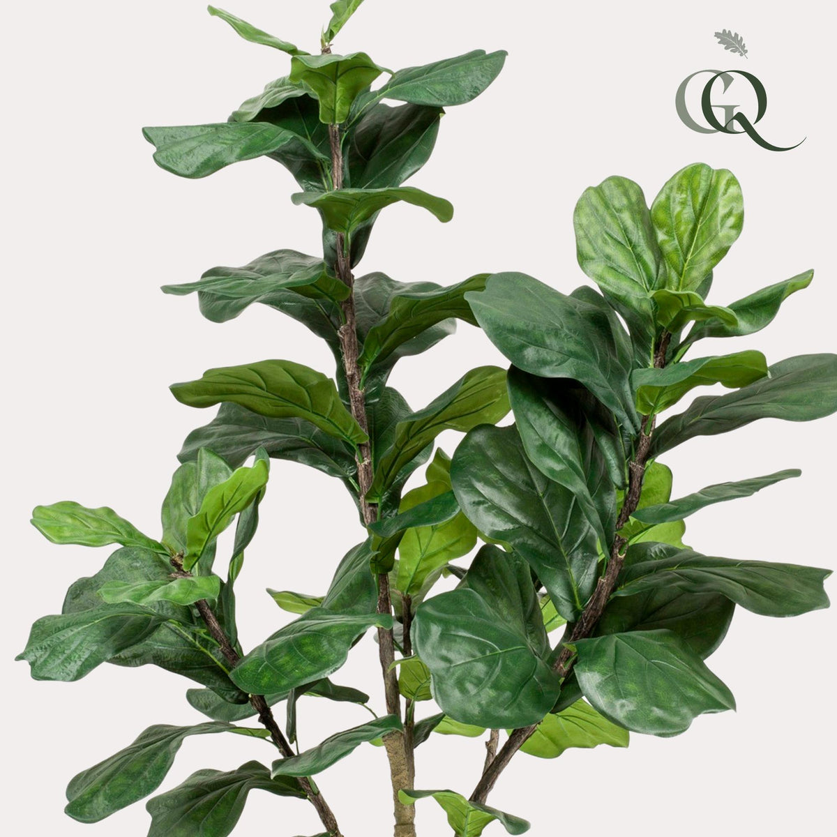 Kunstpflanze - Ficus Lyrata - Tabakspflanze
