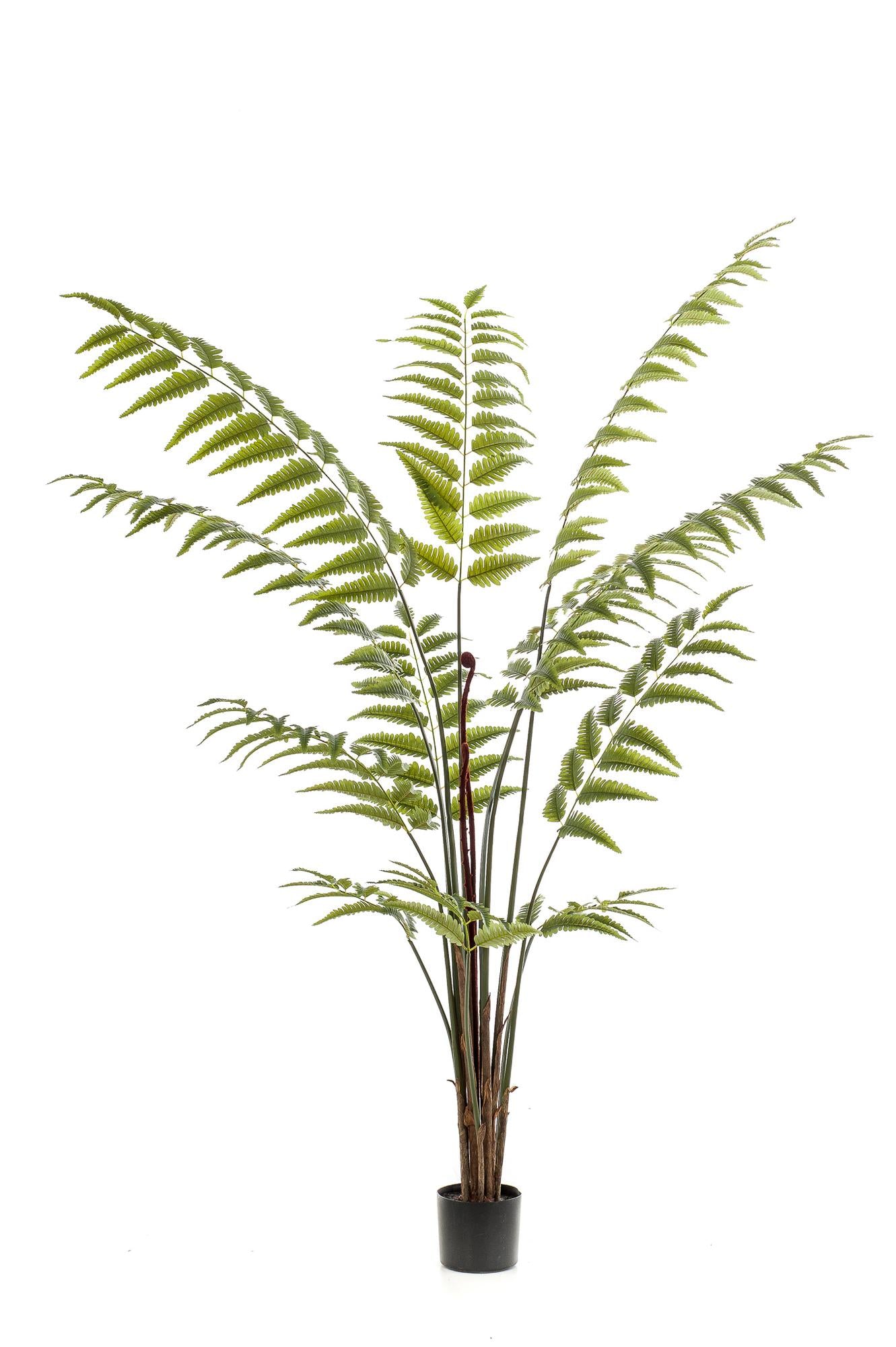 Kunstpflanze – Rumohra adiantiformis – Lederfarn – 180 cm
