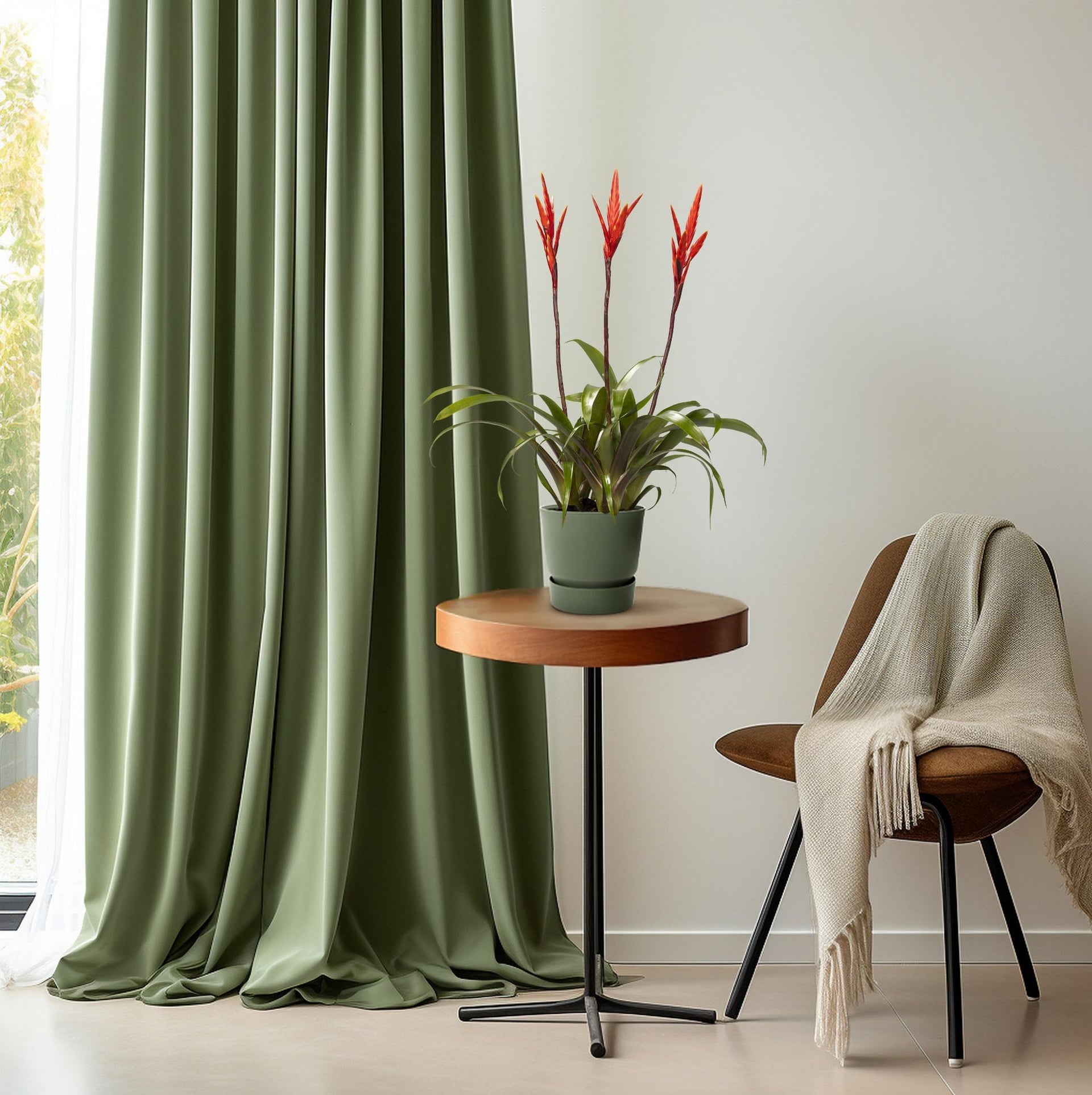 Vriesea Elan (Bromelie) – Ø12 cm – ca. 55 cm