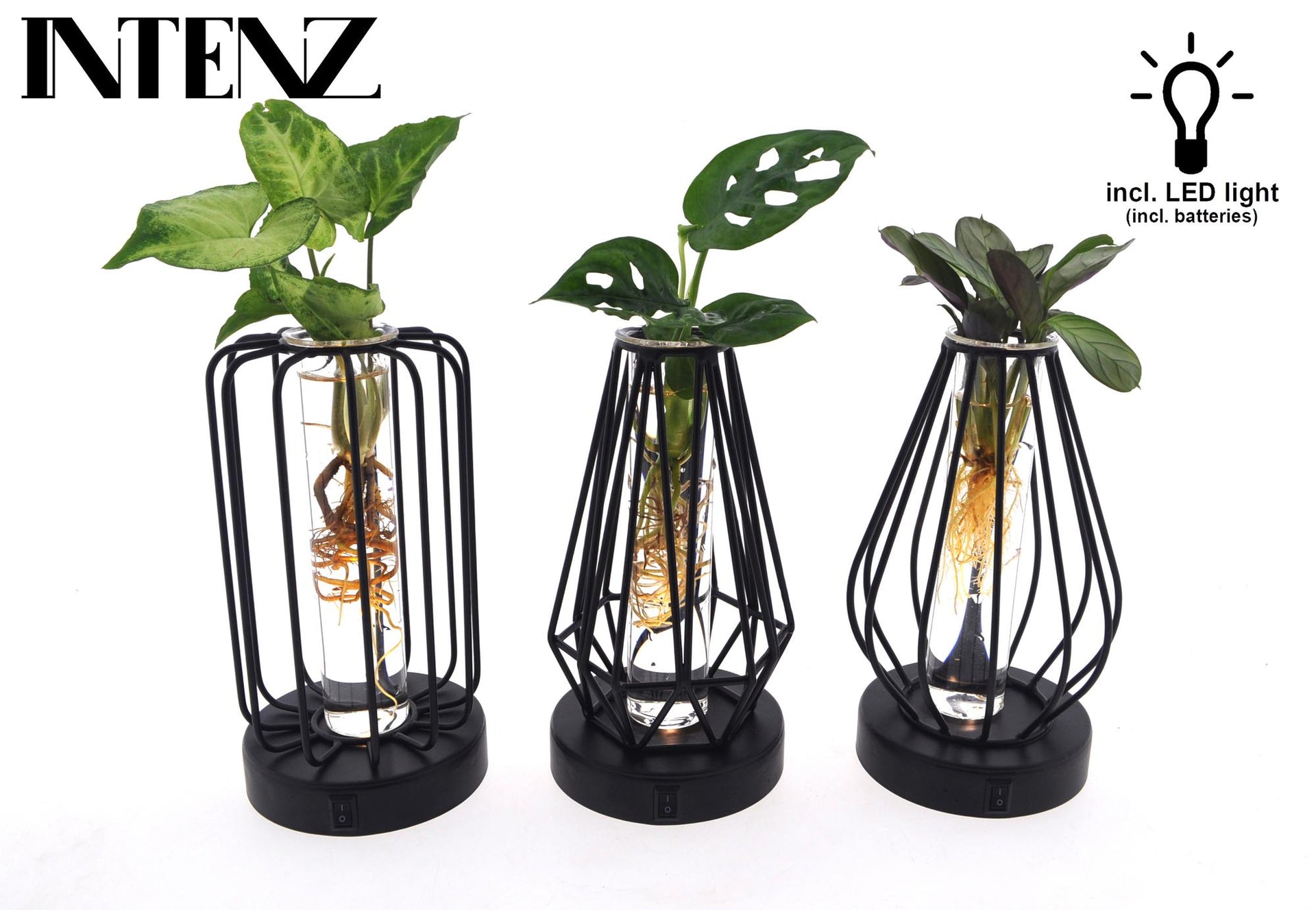 Pflanzenmix im Turin-Glas mit LED – 3er-Set – Ø7 cm – ca. 20 cm