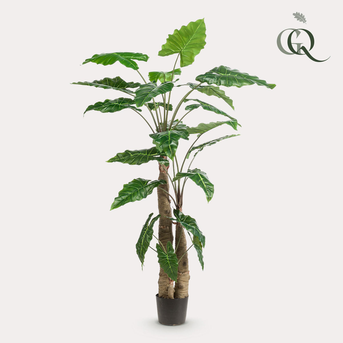 Kunstpflanze - Alocasia