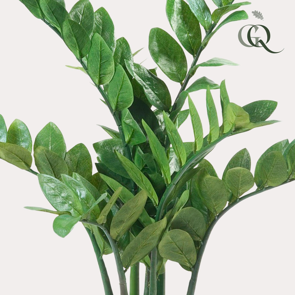 Kunstpflanze - Zamioculcas - Zimmerpalme