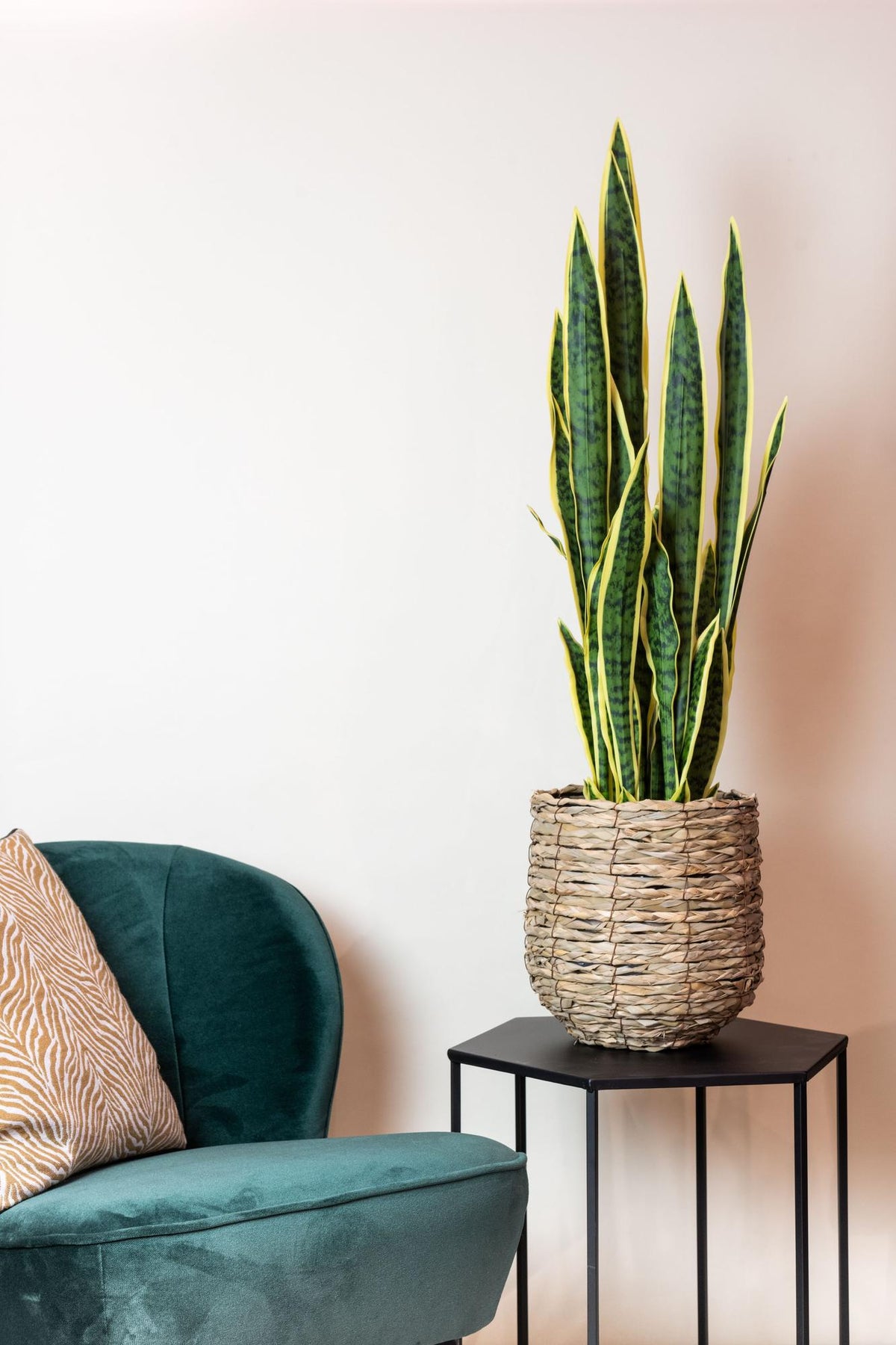 Kunstpflanze - Sansevieria Trifasciata - Bogenhanf