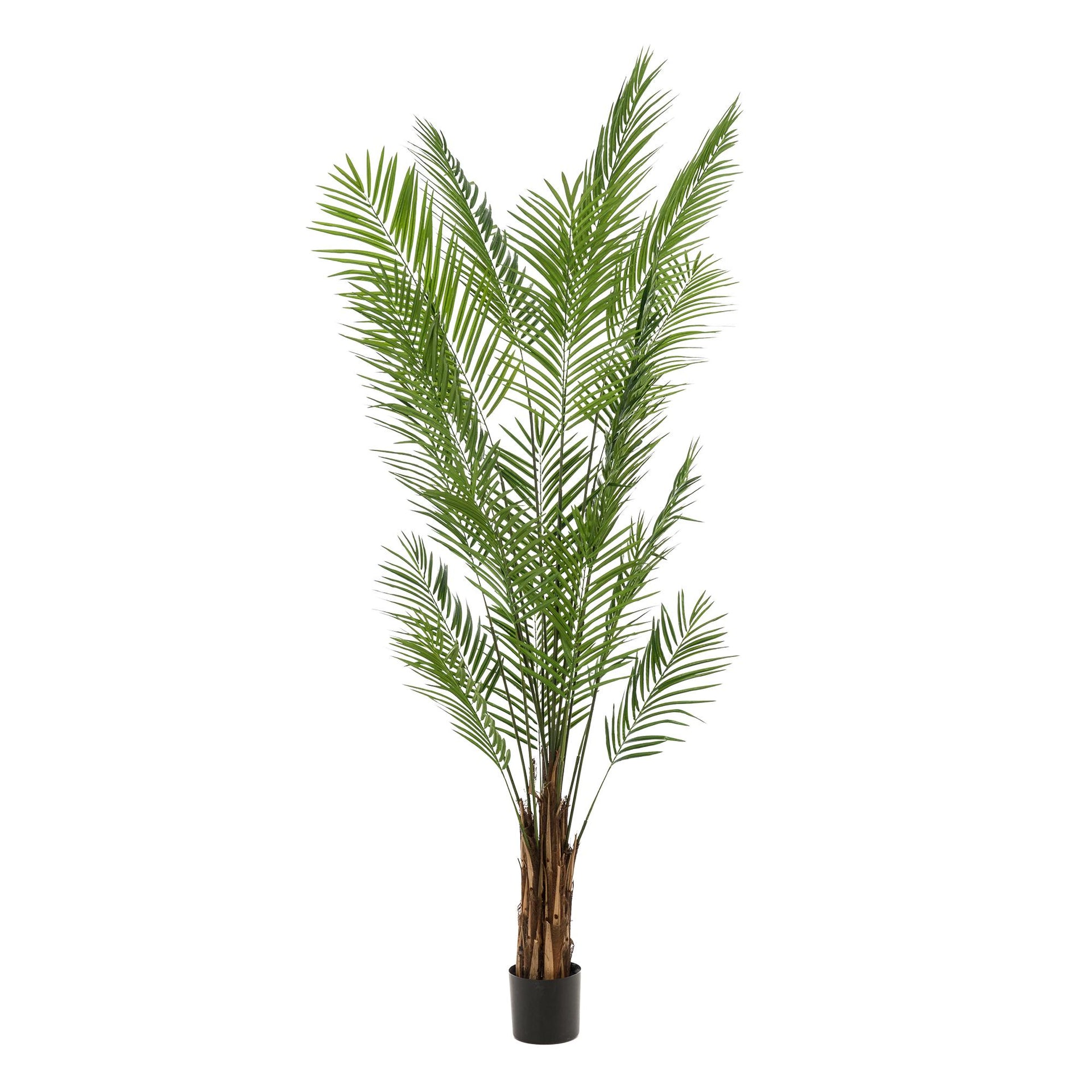 Kunstpalme Areca (Goldfruchtpalme)