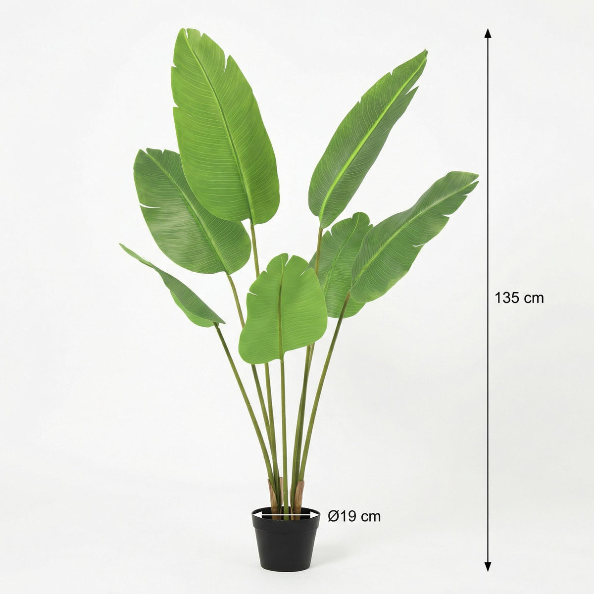 ARTIFICIAL Strelitzia Nicolai