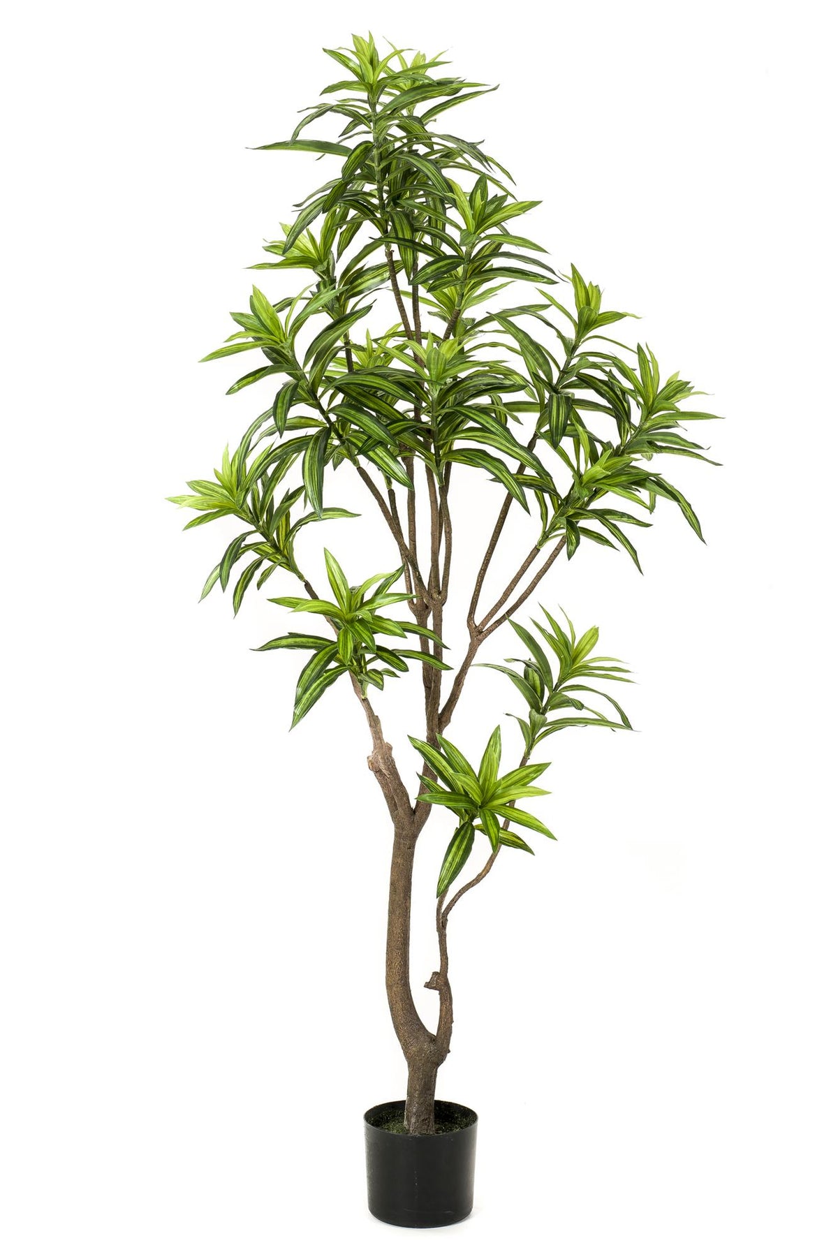 Kunstpflanze - Dracaena - Drachenbaum