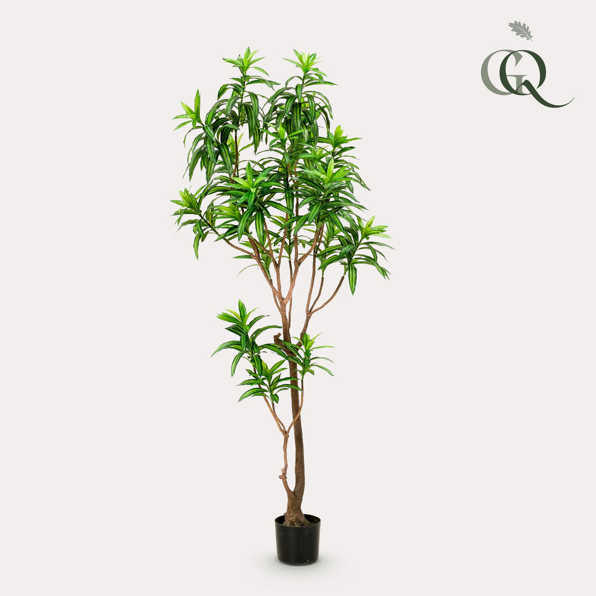 Kunstpflanze - Dracaena - Drachenbaum