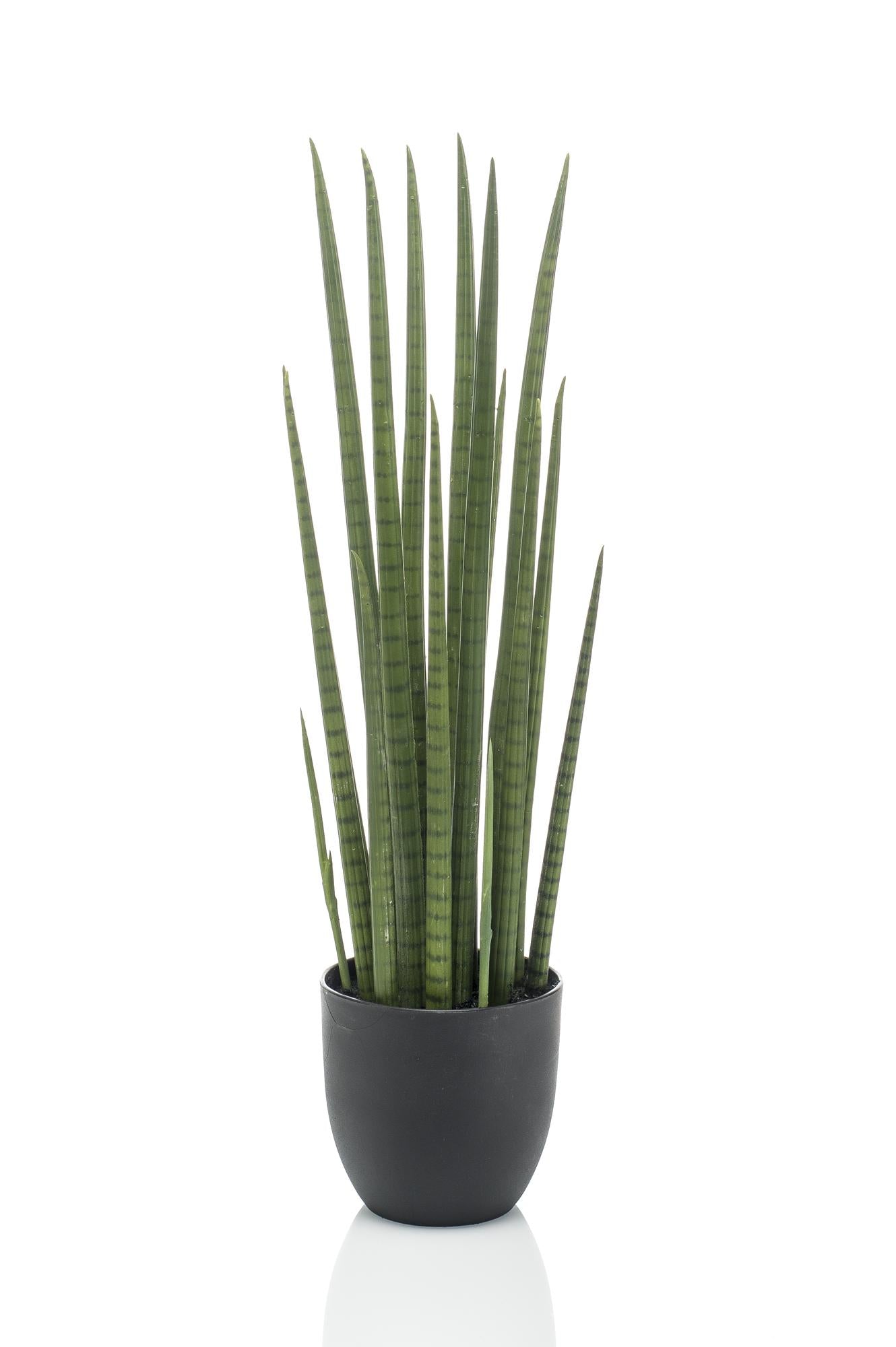 Kunstpflanze – Sansevieria Cylindrica – Bogenhanf – 70 cm