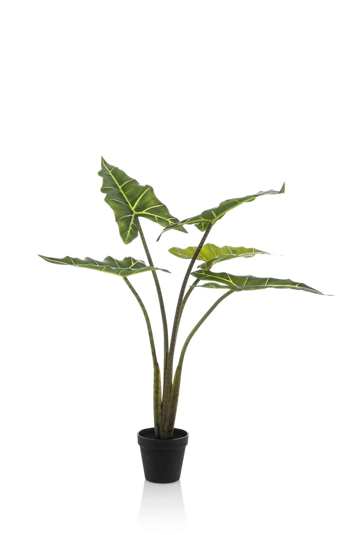 Kunstpflanze - Alocasia Frydek