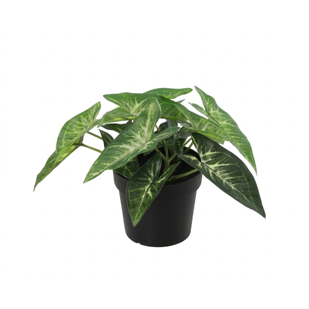 ARTIFICIAL Syngonium