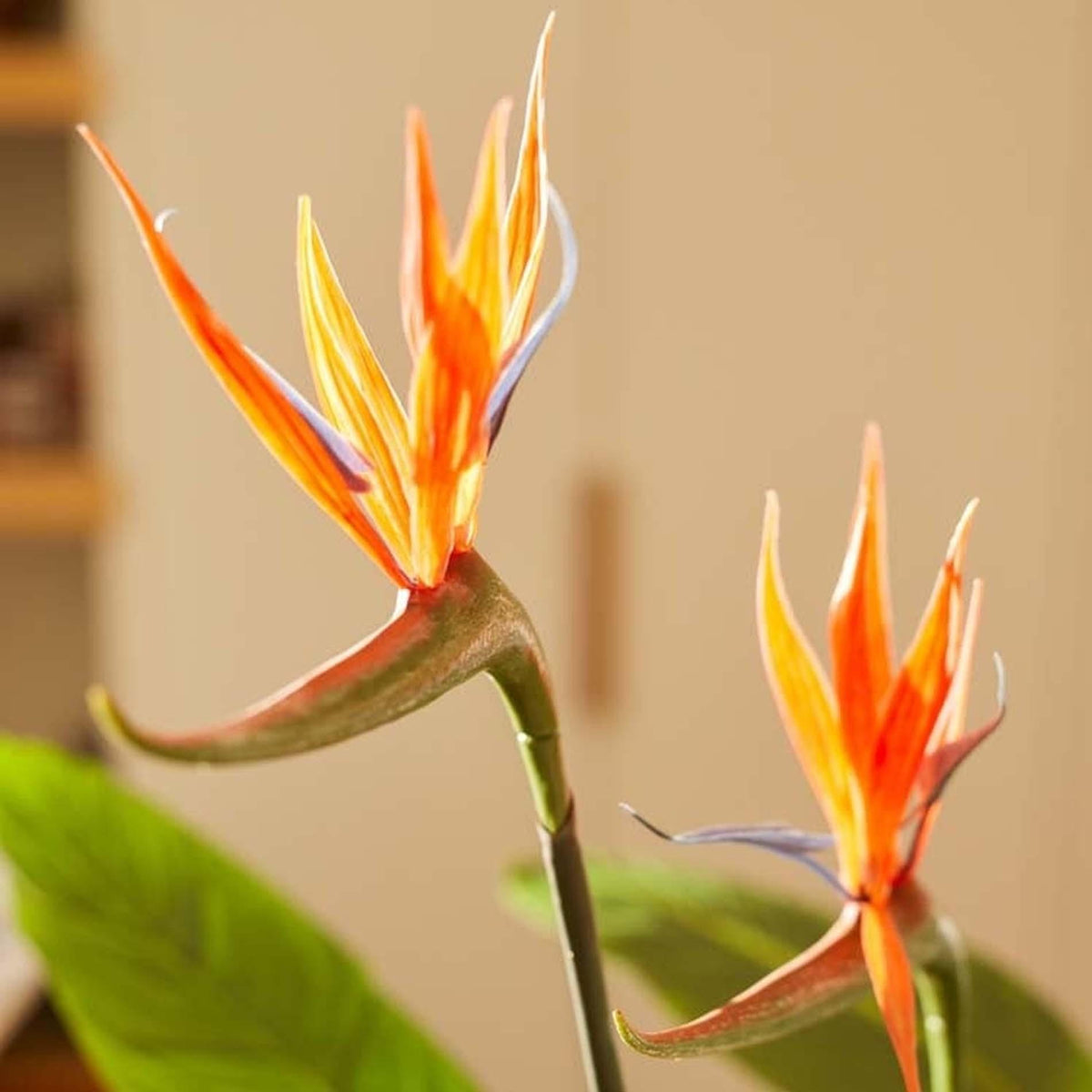 Strelitzia met bloemen - 120cm - In zwarte pot - Kunstplant - ARTIFICIAL