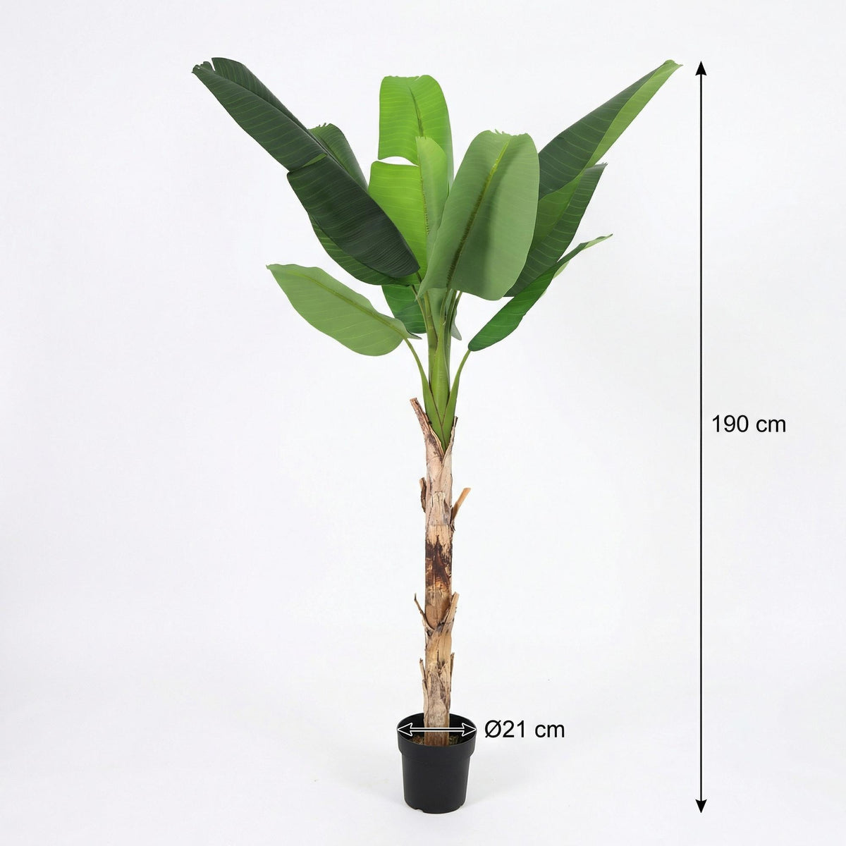 ARTIFICIAL Banana plant Musa
