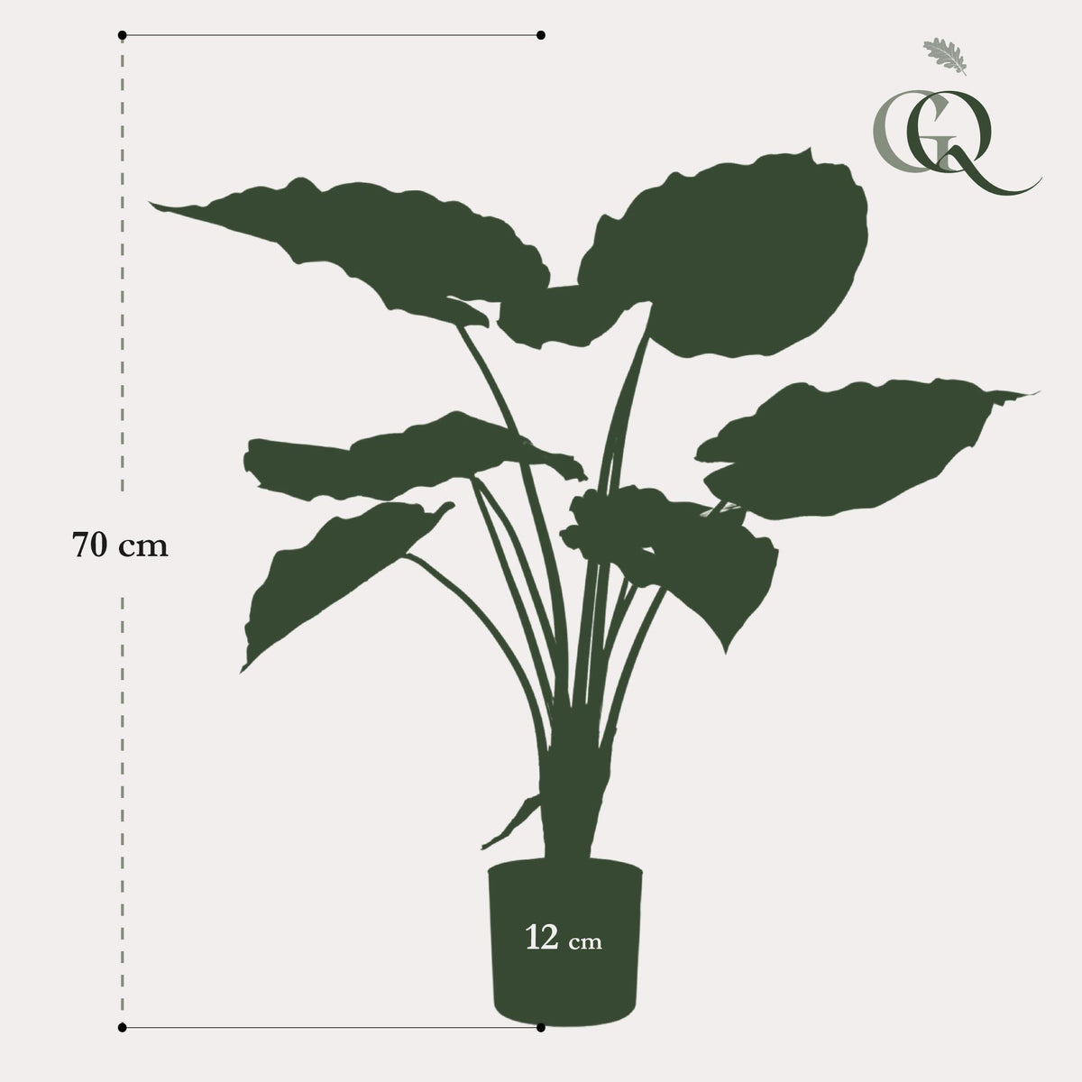 Kunstpflanze - Alocasia
