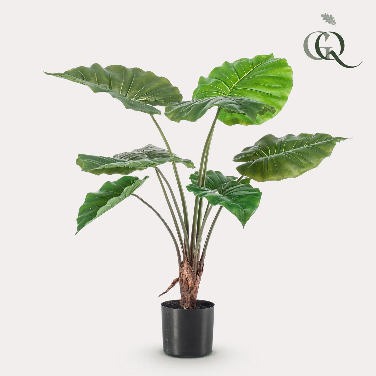 Kunstpflanze - Alocasia