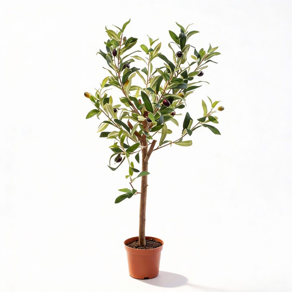Olijfboom in pot 65cm - Kunstplant - Artificial plant