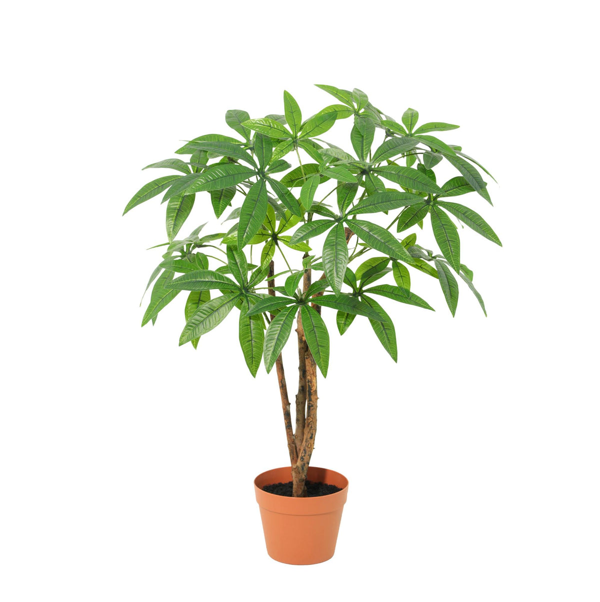 ARTIFICIAL Pachira Aquatica