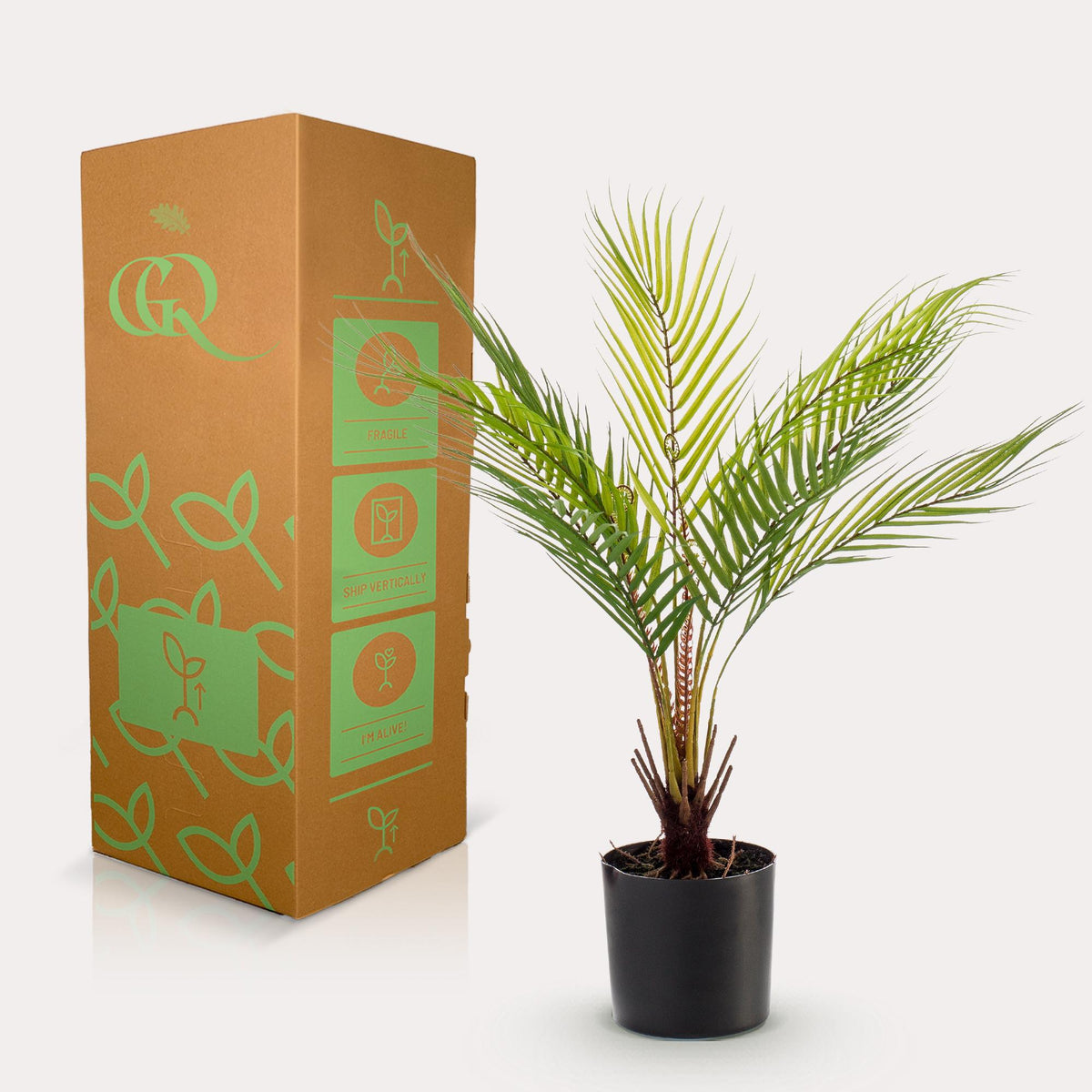 Kunstpflanze - Chamaedorea Elegans- Bergpalme
