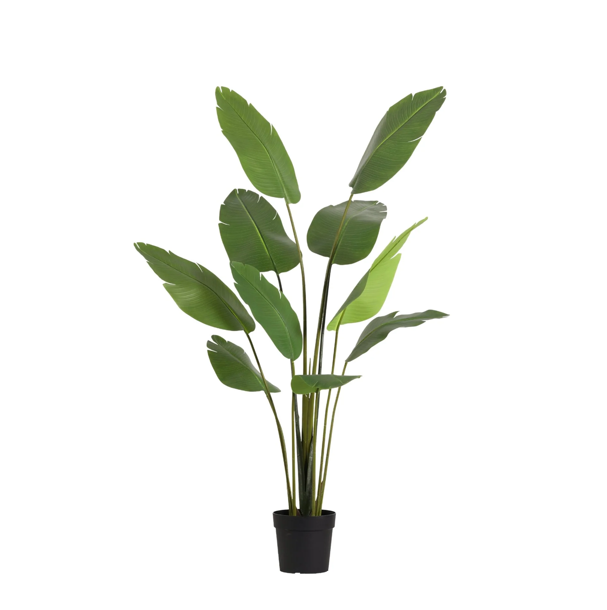 ARTIFICIAL Strelitzia Nicolai